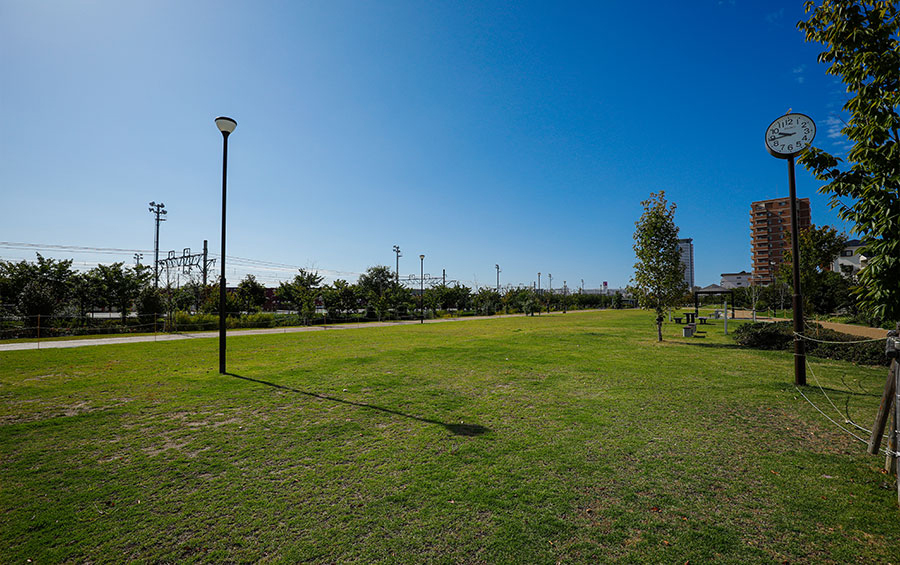 みどりの広場